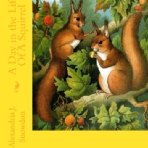 squirrel 772 pixel